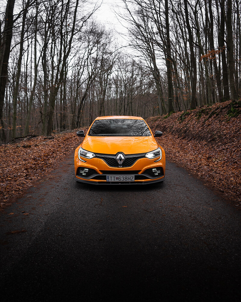 Voiture du Garage Renault LS AUTO à Beauvoir sur Mer